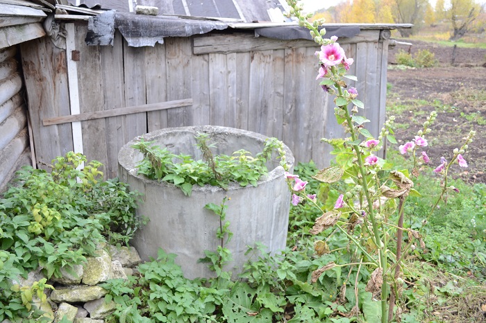 Татар мәгърифәтчесе Шәмсетдин Күлтәси туган Арча районы Күлтәс авылы