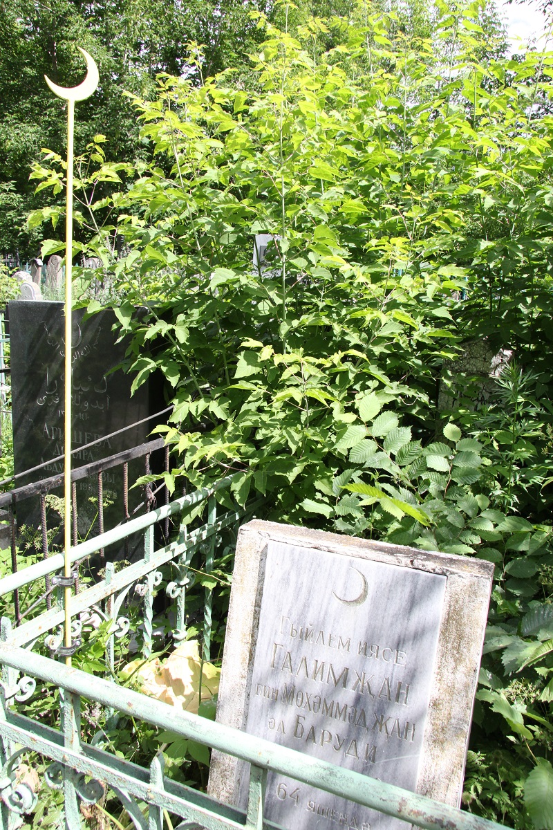 Яңа Татар бистәсендәге зиратта кайбер зыялыларыбызның кабер ташлары. Ленар Гобәйдуллин фотолары. 