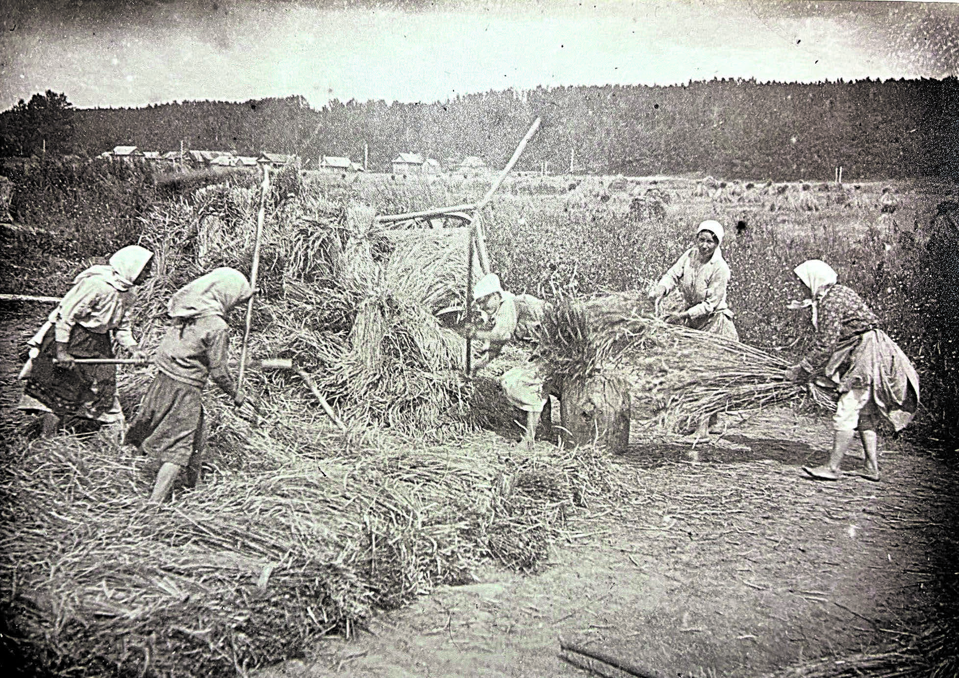 Кайбыч районы кырларында. 1935 ел. Фотосурәт Кайбыч ягы музееннан алынды.