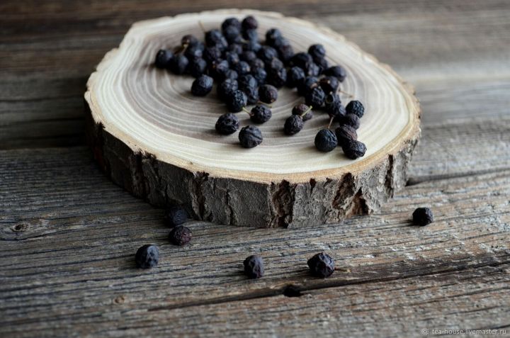 Айга кырын карама